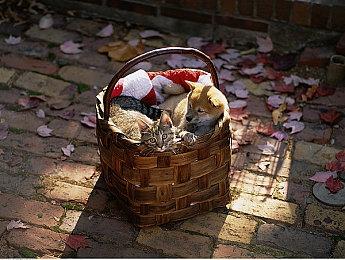 《战争之人2》离线模式开发进展：完成大半 10月初推出