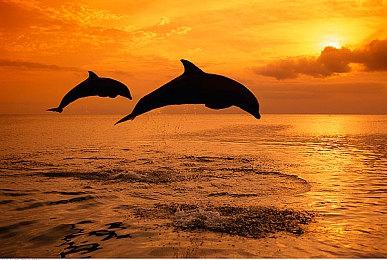 末世启示录风RPG《丽莎》两部曲2024年3月登陆PS＆NS主机平台